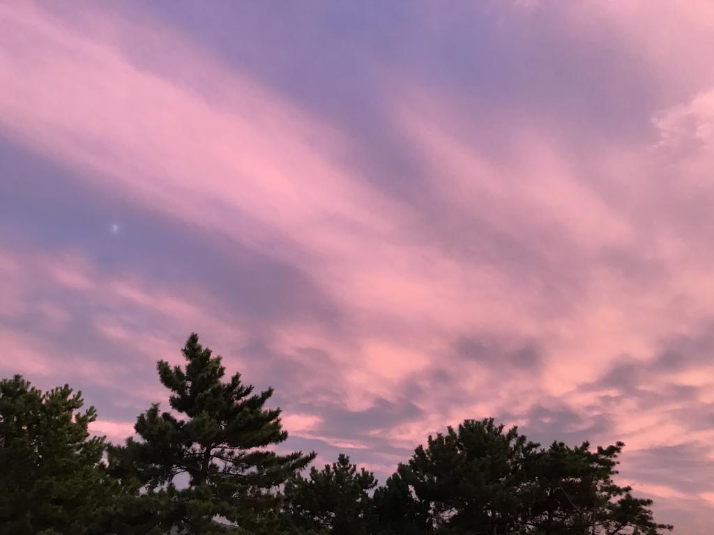Minshuku Tairyoumaru Amakusa  Exteriör bild