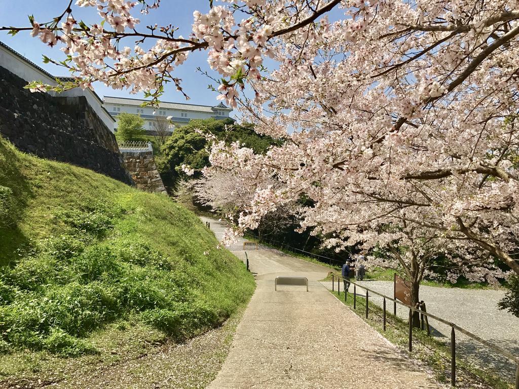 Minshuku Tairyoumaru Amakusa  Exteriör bild