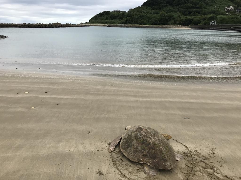 Minshuku Tairyoumaru Amakusa  Exteriör bild